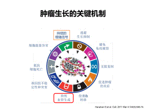 医学课件胃癌靶向治疗新进展.ppt