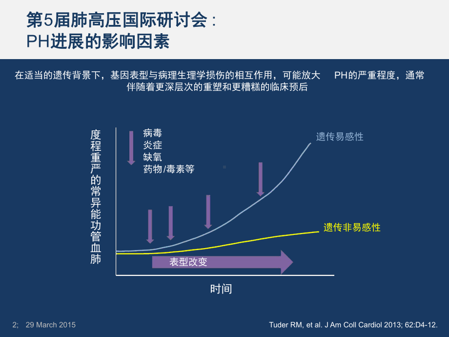 肺动脉高压研究进展课件.ppt_第2页