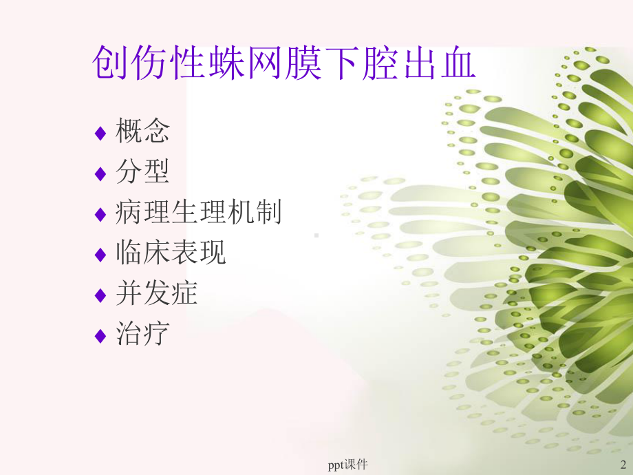 外伤性蛛网膜下腔出血-ppt课件.ppt_第2页