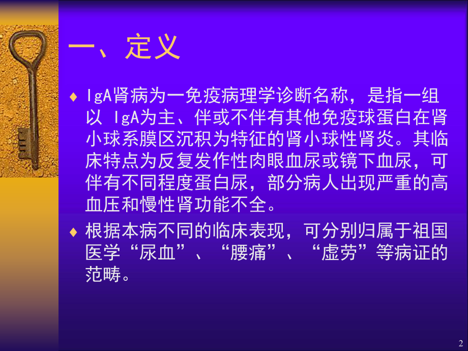 IgA肾病诊断及治疗对策PPT课件.ppt_第2页