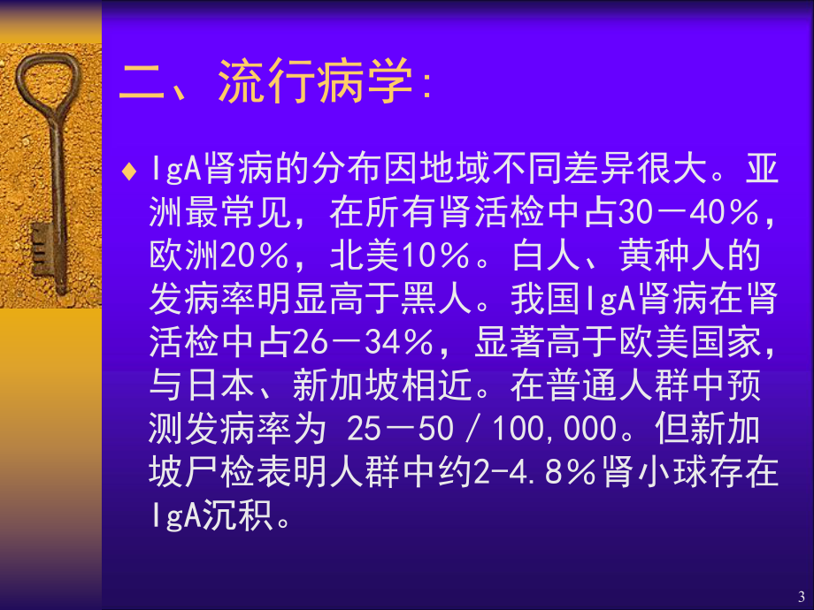 IgA肾病诊断及治疗对策PPT课件.ppt_第3页