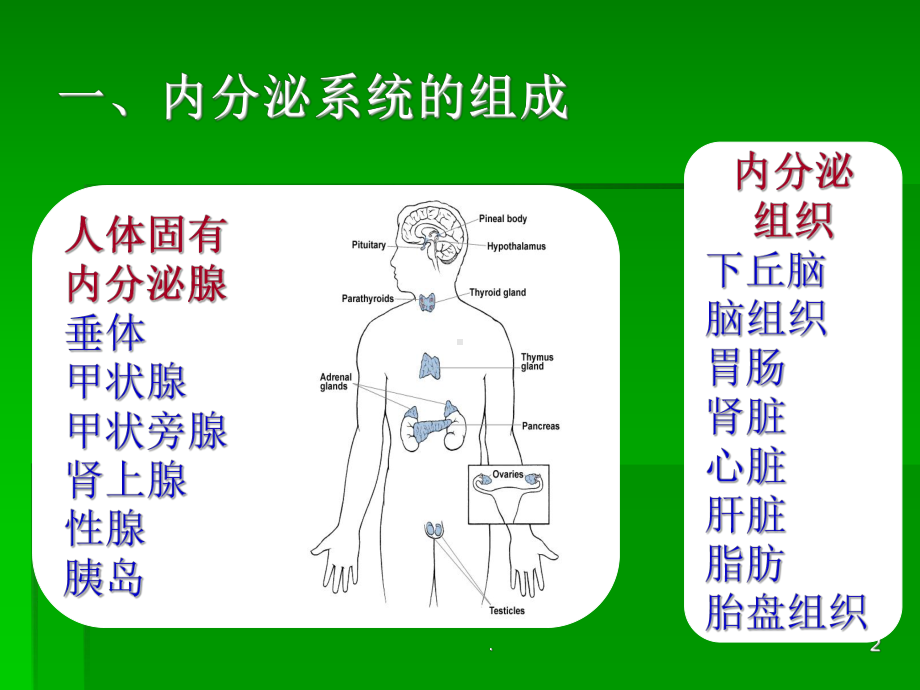 内分泌及代谢疾病常见症状与体征ppt演示课件.ppt_第2页