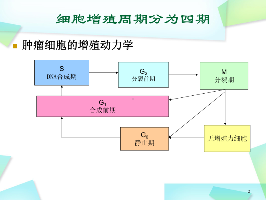 抗肿瘤药物分类及作用机制PPT幻灯片课件.ppt_第2页