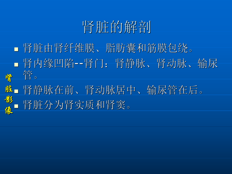 肾脏占位的影像诊断36页PPT课件.ppt_第1页