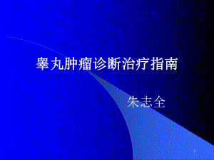 睾丸生殖细胞肿瘤诊疗PPT课件.ppt