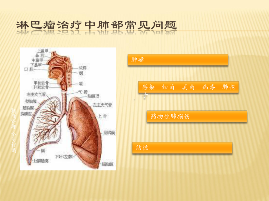 药物性肺损伤课件.ppt_第2页