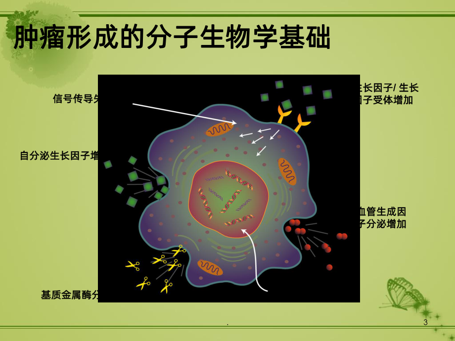 肿瘤科培训资料ppt课件.ppt_第3页