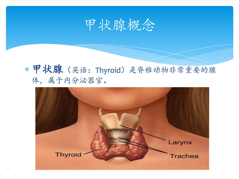 甲状腺围手术期护理ppt课件.pptx_第2页