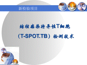 结核感染T细胞检测ppt课件.ppt