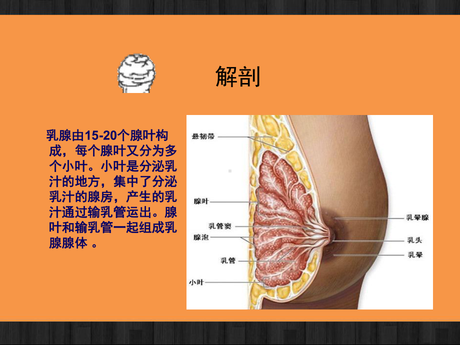 乳腺癌改良根治术的护理配合-PPT课件.ppt_第3页