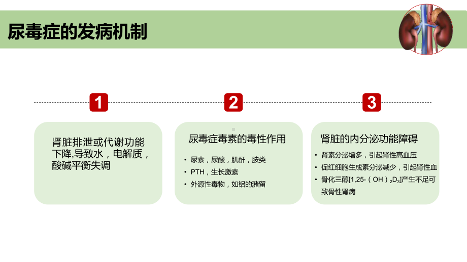 尿毒症并发症的急救和护理课件.pptx_第2页