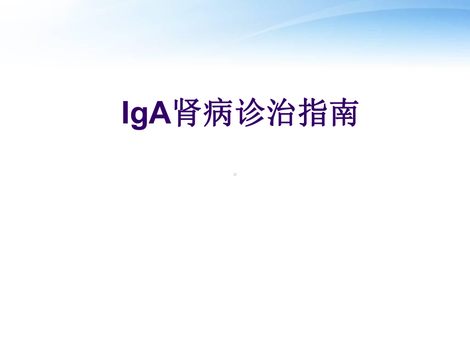 IgA肾病诊治指南课件.ppt_第1页