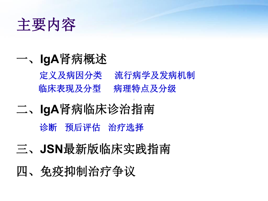 IgA肾病诊治指南课件.ppt_第2页