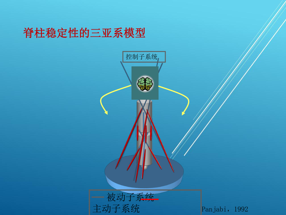 （康复与运动）各论颈椎课件.pptx_第2页