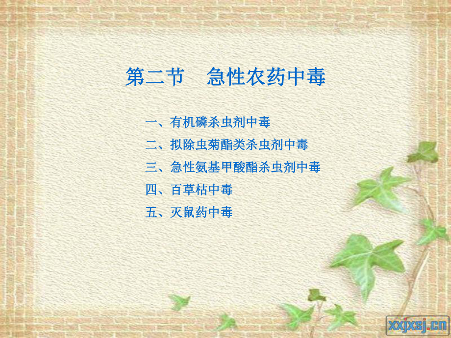 急性农药中毒ppt课件.ppt_第2页