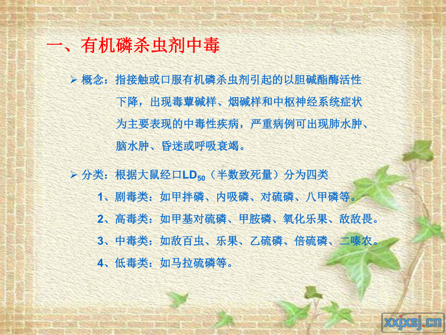 急性农药中毒ppt课件.ppt_第3页