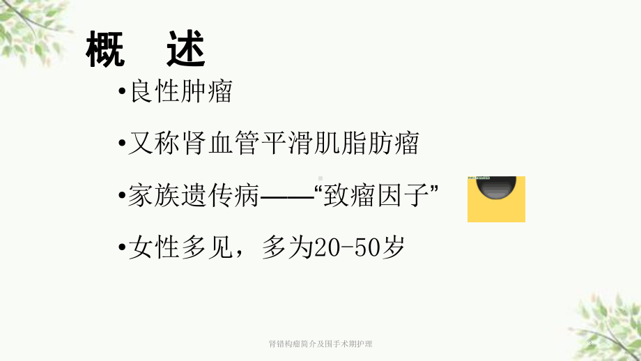 肾错构瘤简介及围手术期护理课件(同名137).ppt_第3页