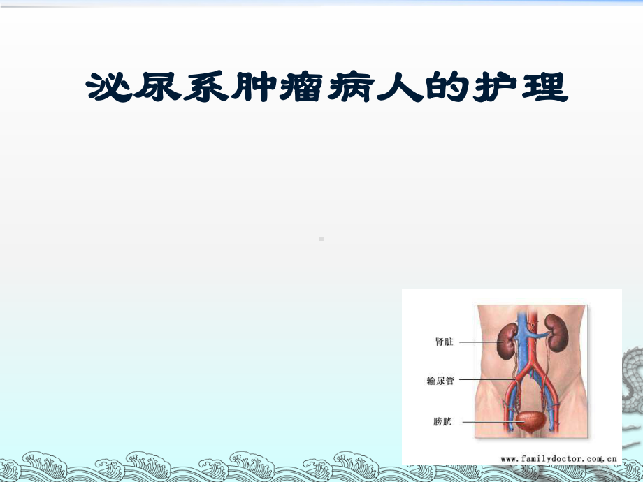 泌尿系肿瘤病人的护理PPT课件.ppt_第1页