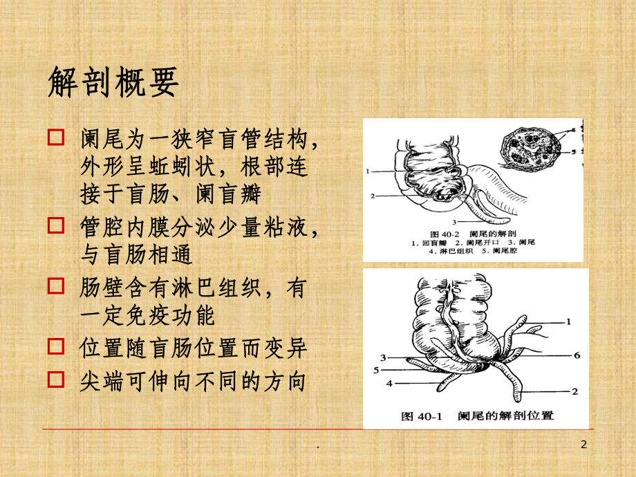 急性阑尾炎护理查房PPT课件.ppt_第2页