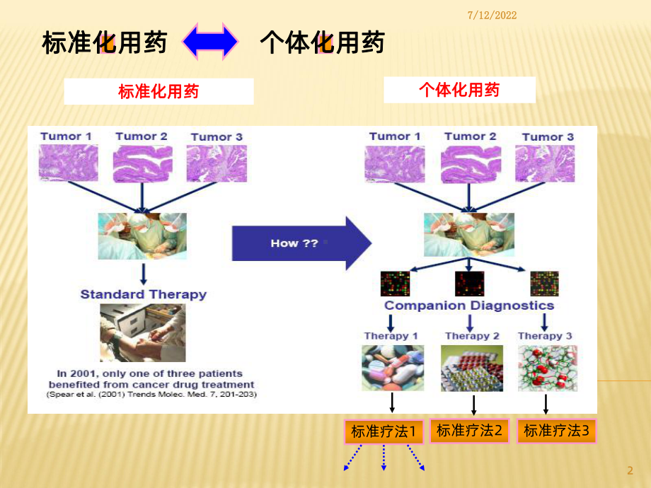 肿瘤分子诊断PPT课件.ppt_第2页