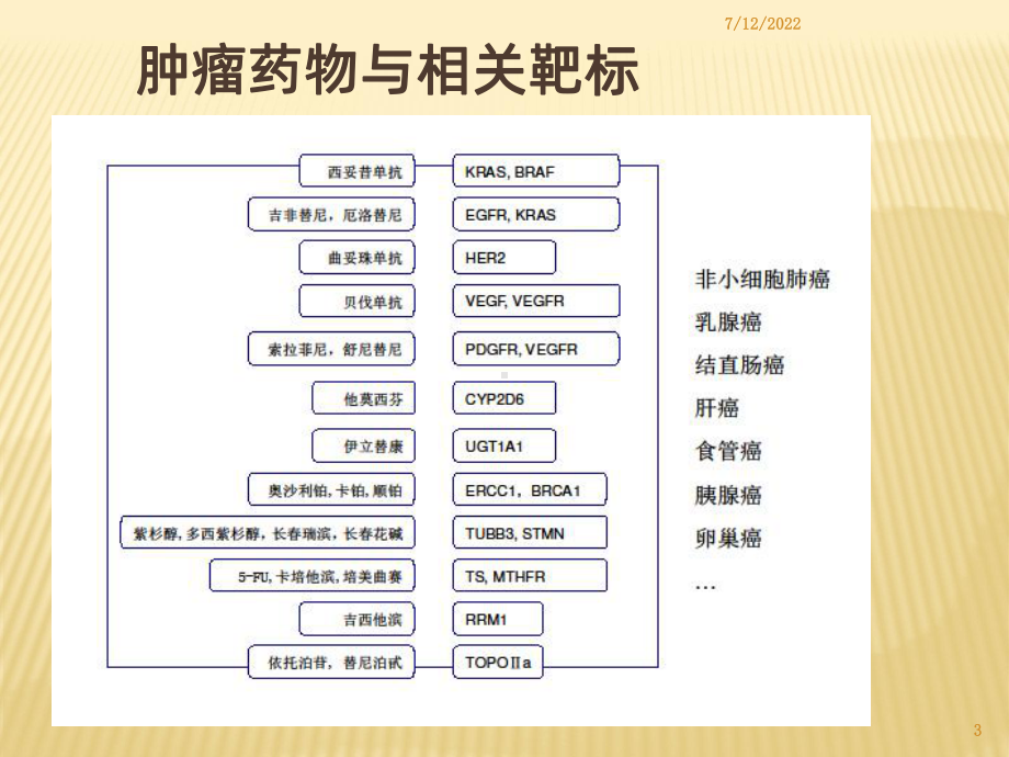 肿瘤分子诊断PPT课件.ppt_第3页