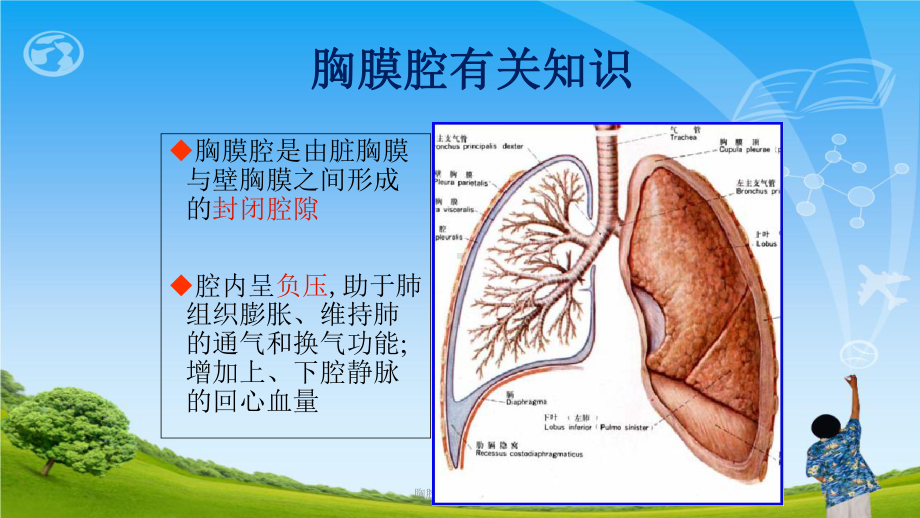 胸腔闭式引流课件ppt课件1.ppt_第3页