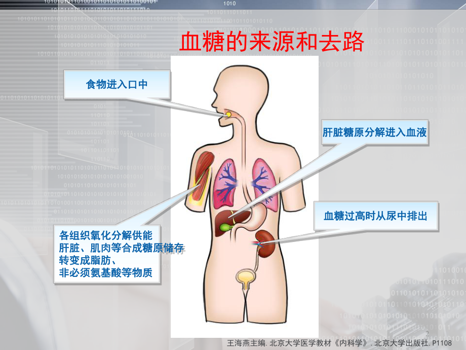 糖尿病胰岛素治疗（内分泌科）课件.ppt_第2页