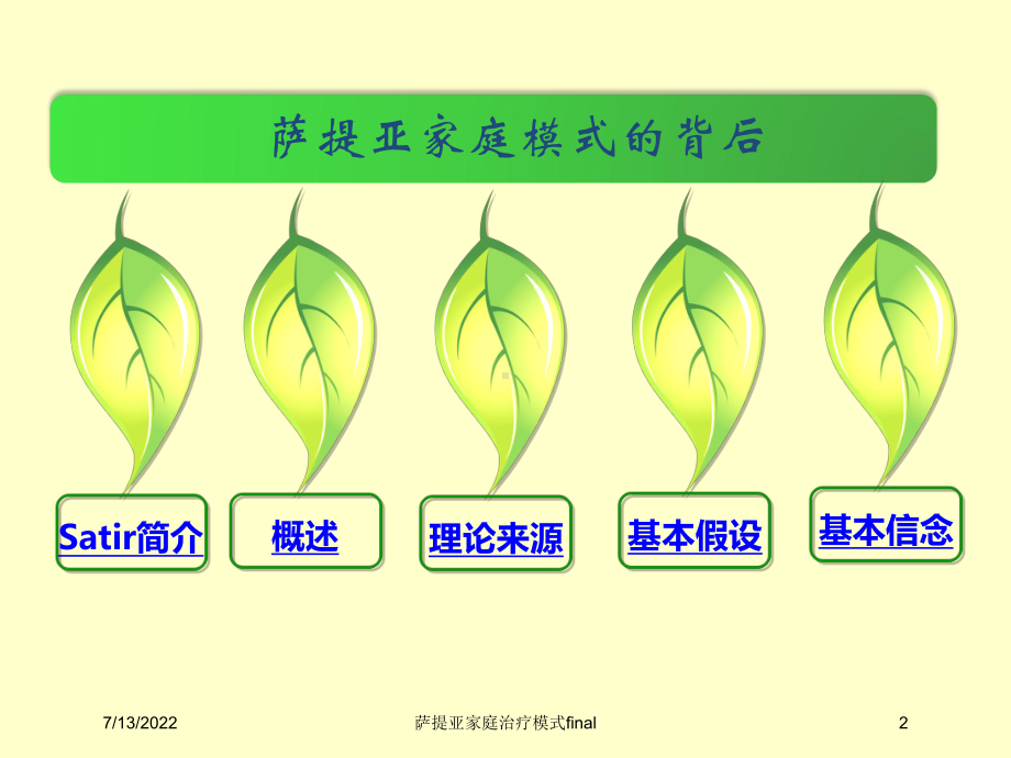 萨提亚家庭治疗模式final培训课件.ppt_第2页