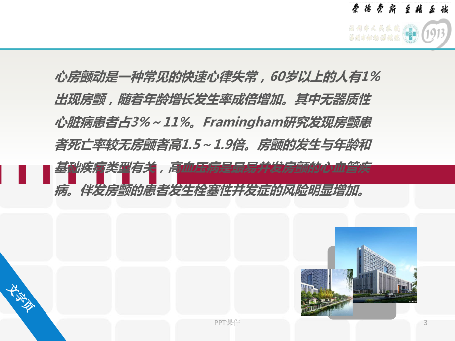 心房颤动--ppt课件.ppt_第3页