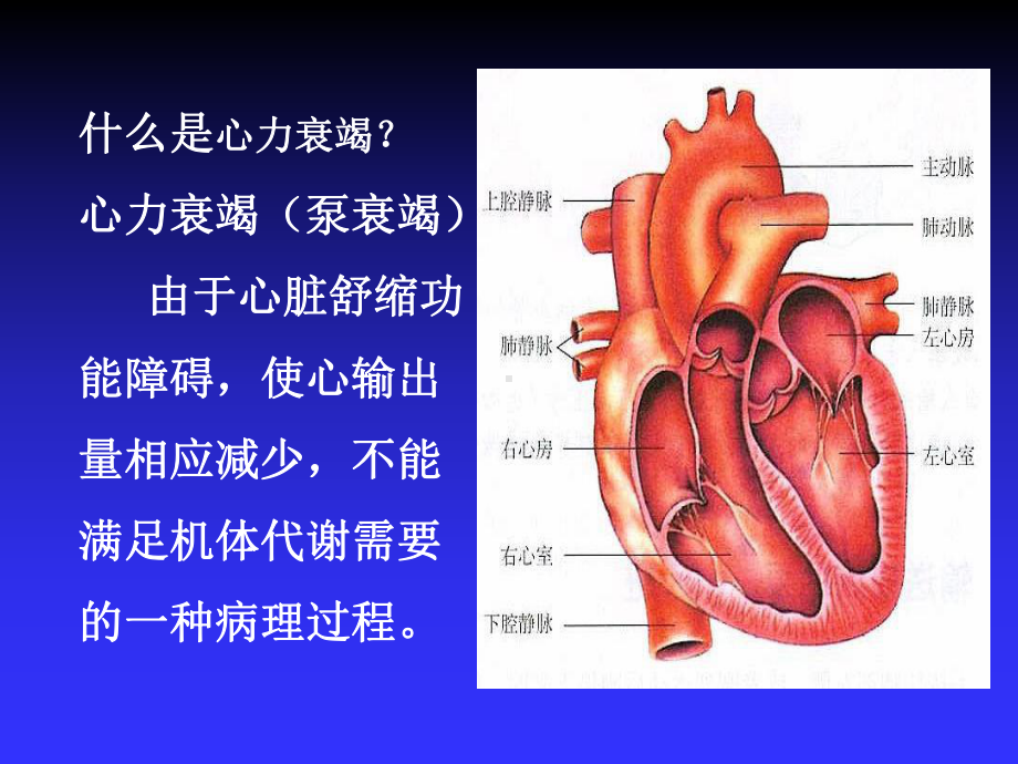 心力衰竭-病理学基础课件.ppt_第2页