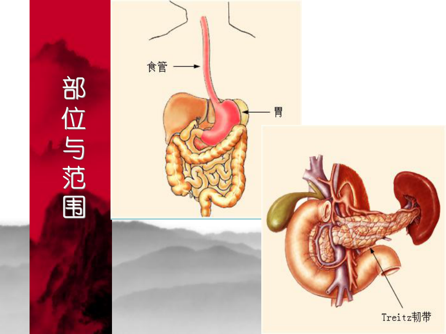 最新上消化道出血鉴别诊断及处理原则课件.ppt_第3页