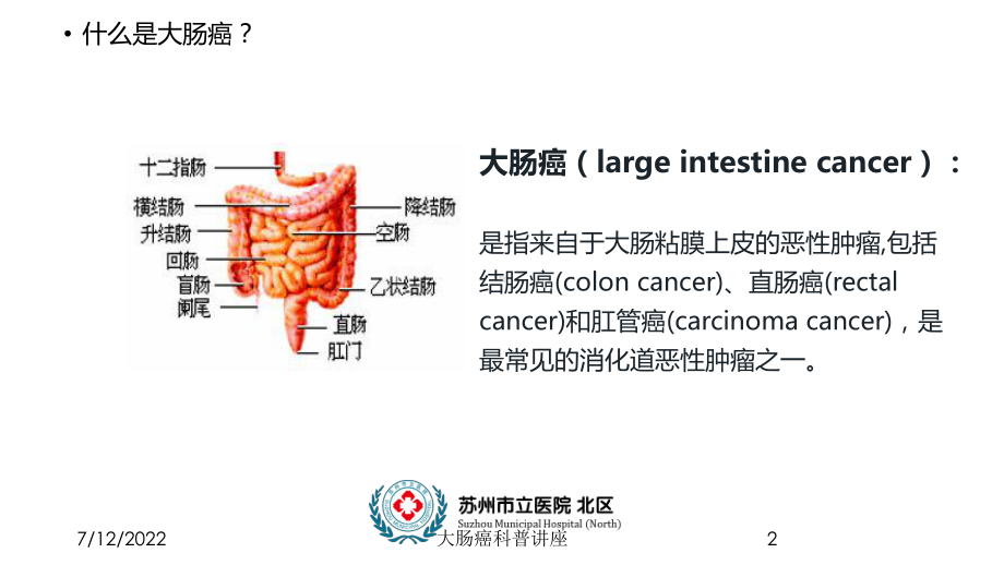 大肠癌科普讲座课件.ppt_第2页