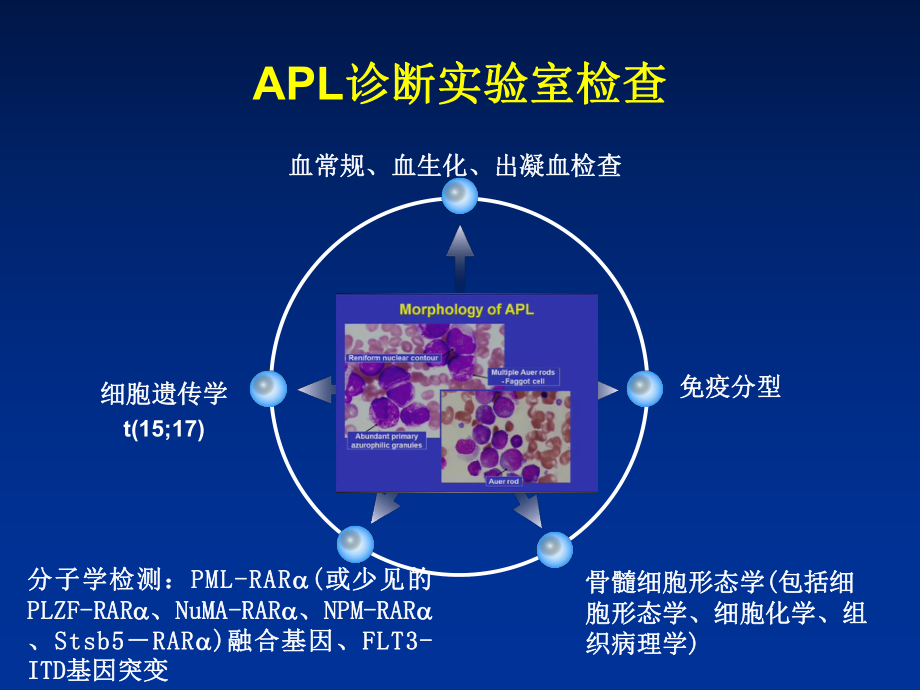 急性早幼粒细胞白血病共48页文档课件.ppt_第1页