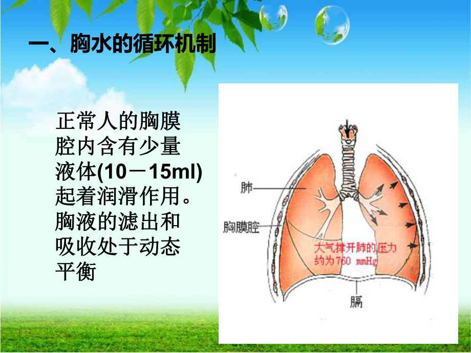 结核性胸膜炎-胸腔积液ppt课件.ppt_第2页