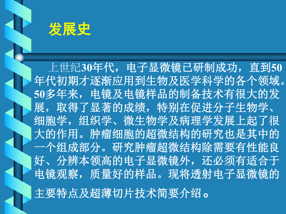 肿瘤超微病理课件.ppt_第2页