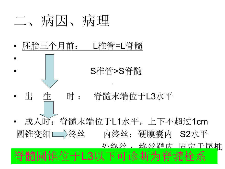 脊髓栓系综合征课件.ppt_第3页