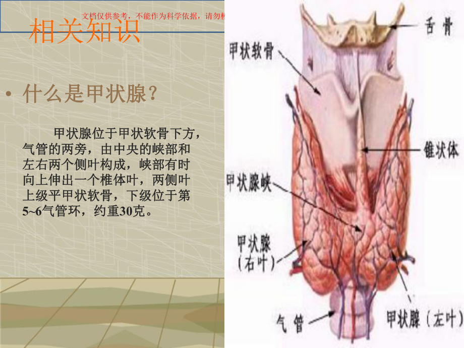 甲状腺癌教学查房模板课件.ppt_第2页