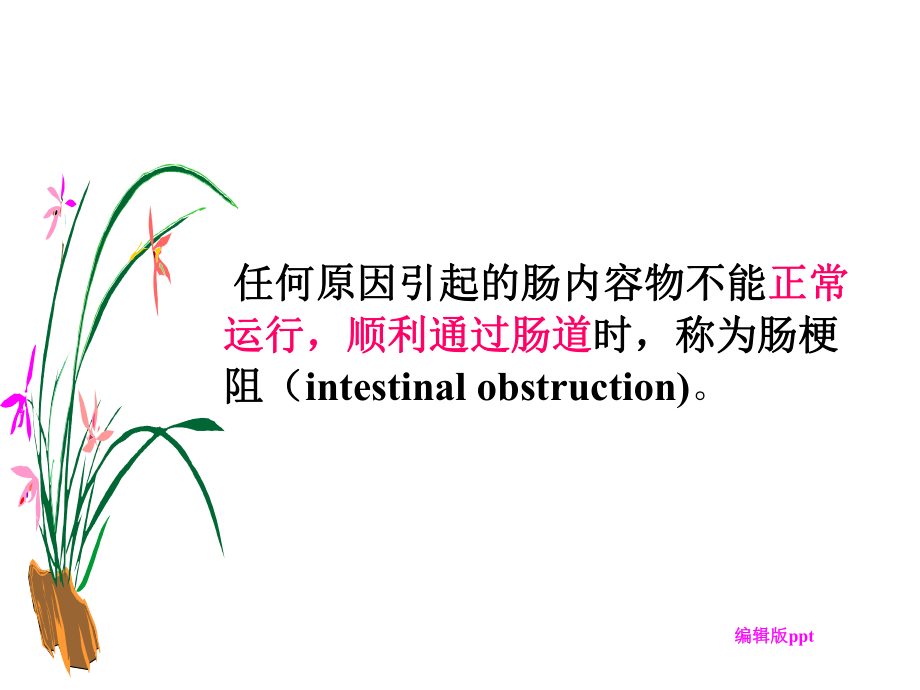 肠梗阻配合PPT课件.ppt_第2页