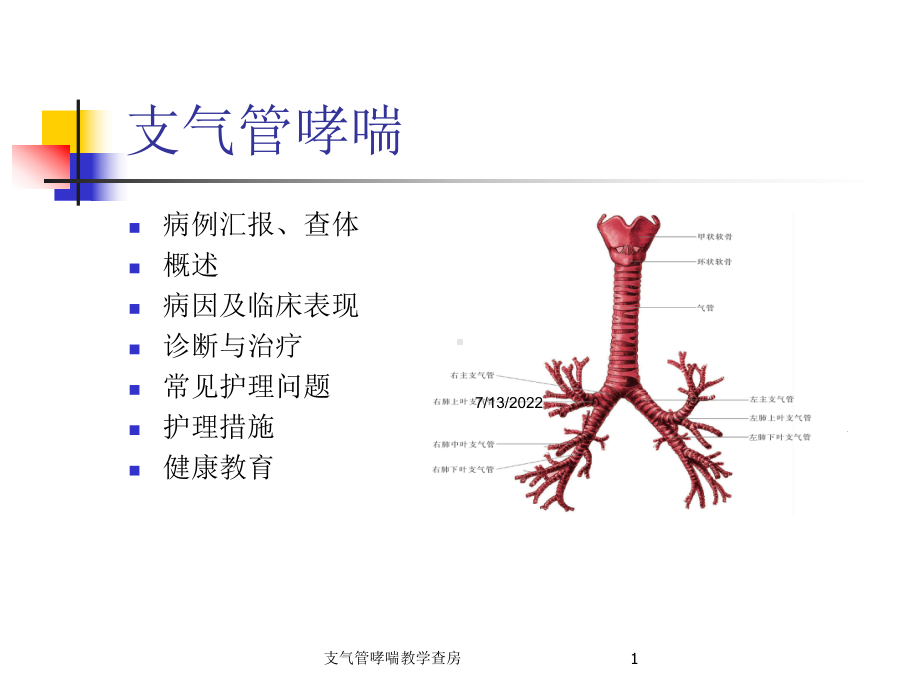 支气管哮喘教学查房培训课件.ppt_第1页