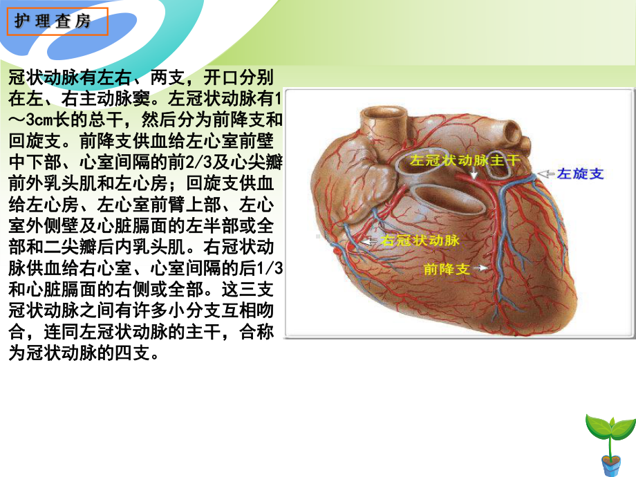 冠状动脉搭桥术PPT课件.ppt_第3页