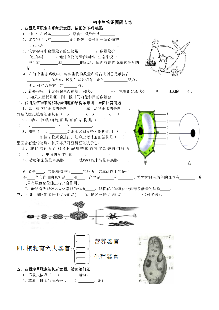 初中生物识图实验和答案.doc_第1页