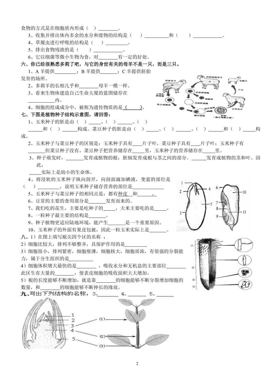 初中生物识图实验和答案.doc_第2页