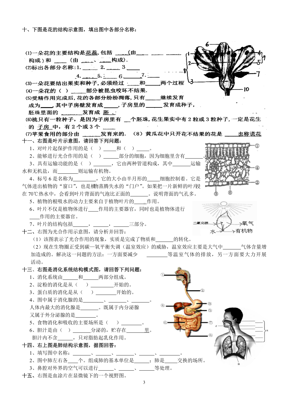 初中生物识图实验和答案.doc_第3页