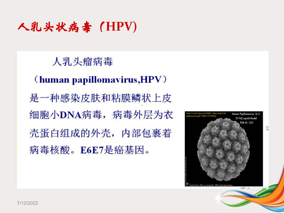 宫颈锥切术后切缘阳性的临床处理课件.ppt_第2页