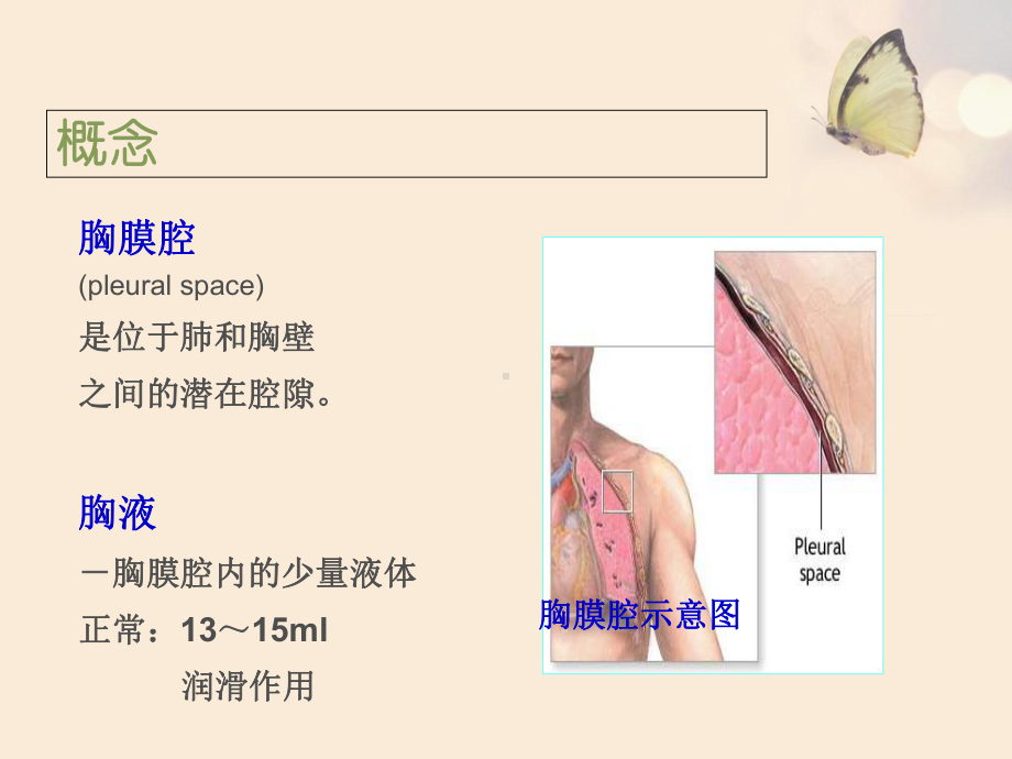 医学课件胸腔积液病人的护理.ppt_第1页