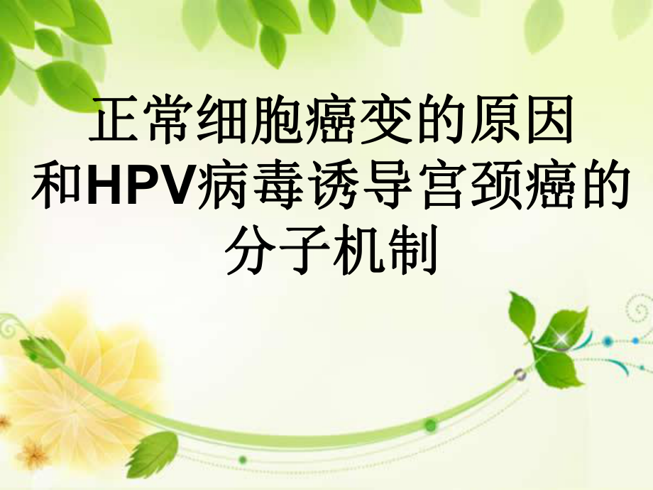 -正常细胞癌变的原因及HPV病毒诱导的宫颈癌的课件.ppt_第1页