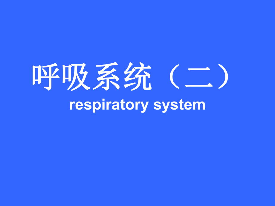 气管及主支气管课件.ppt_第1页