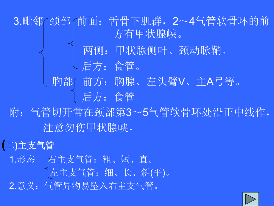 气管及主支气管课件.ppt_第3页