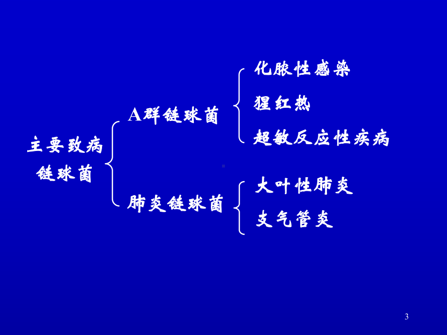 链球菌属PPT课件.ppt_第3页