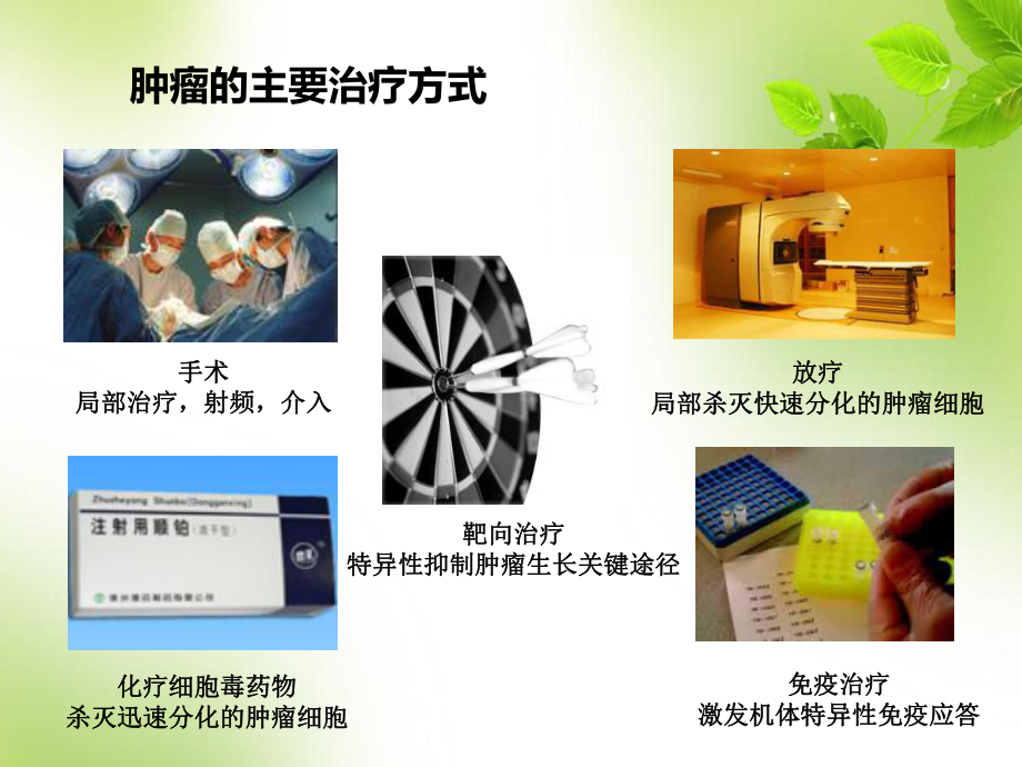 肿瘤分子靶向药物临床应用进展-PPT课件.ppt_第3页